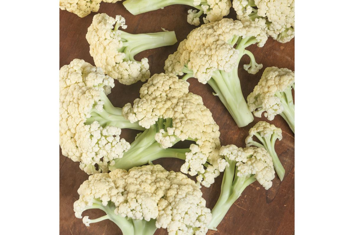 Song TJS-65 – Cauliflower Seed